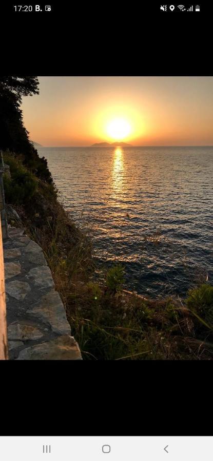 Villa Amos At Aquamarine Residence فلورا المظهر الخارجي الصورة