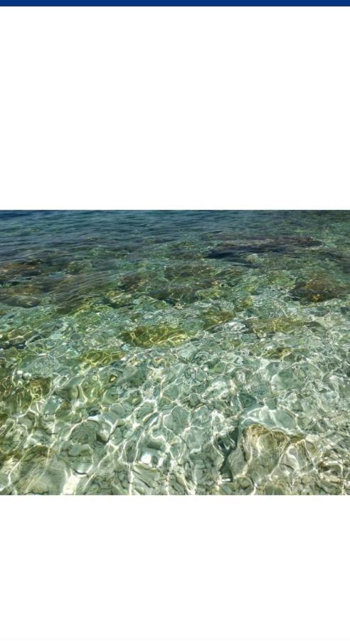 Villa Amos At Aquamarine Residence فلورا المظهر الخارجي الصورة